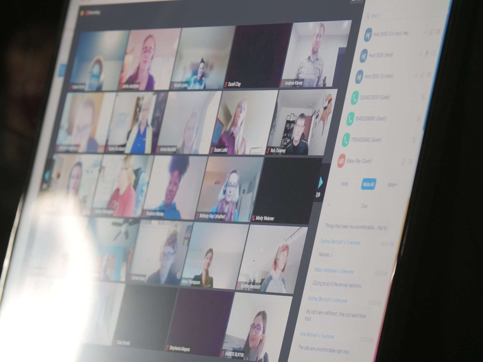 Virtual Event Attendees